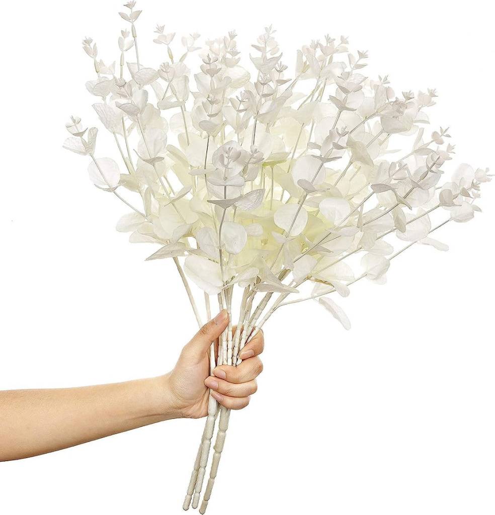 Eucalyptus