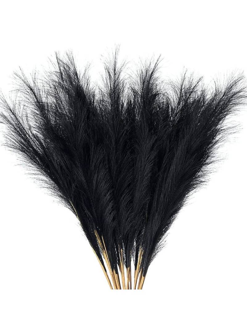 feather black